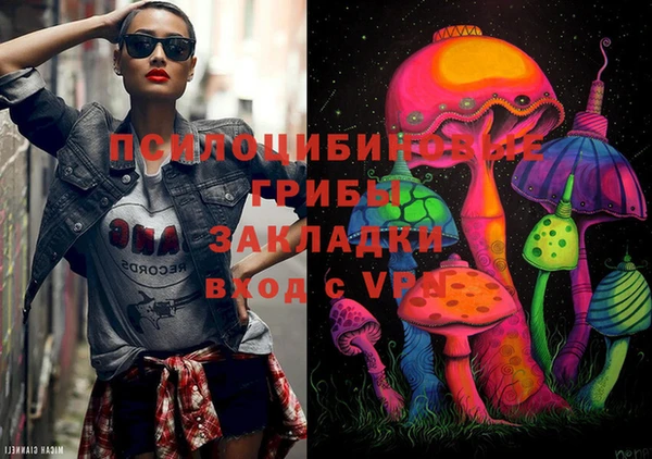 марки lsd Абаза