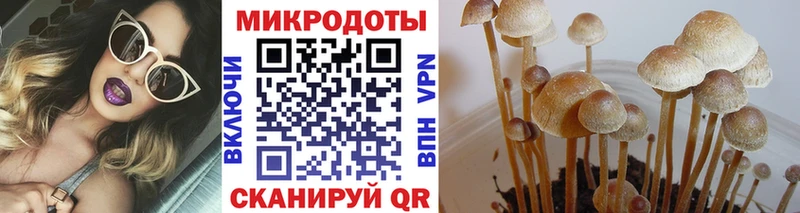 Псилоцибиновые грибы Magic Shrooms  Липецк 