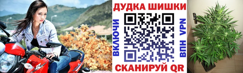 МАРИХУАНА ГИДРОПОН  кракен ONION  сайты даркнета какой сайт  Липецк 